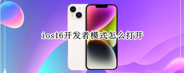 ios16开发者模式怎么打开（苹果ios16开发者模式怎么打开）