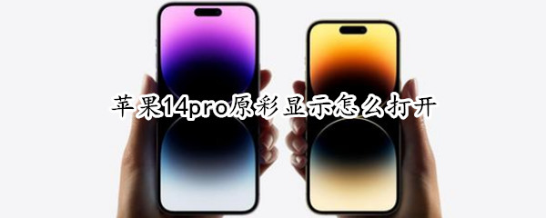 苹果14pro原彩显示怎么打开（iphone12原彩显示怎么打开）