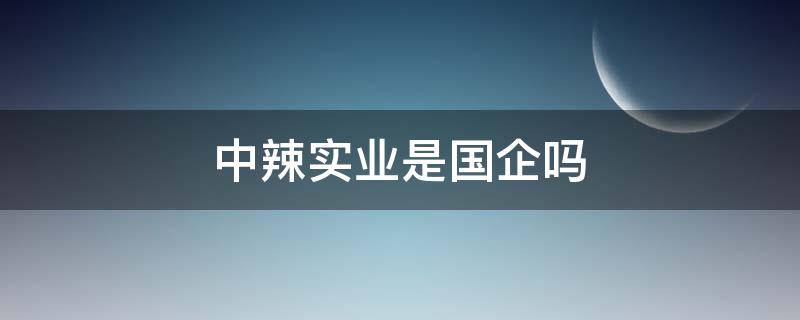 中辣实业是国企吗