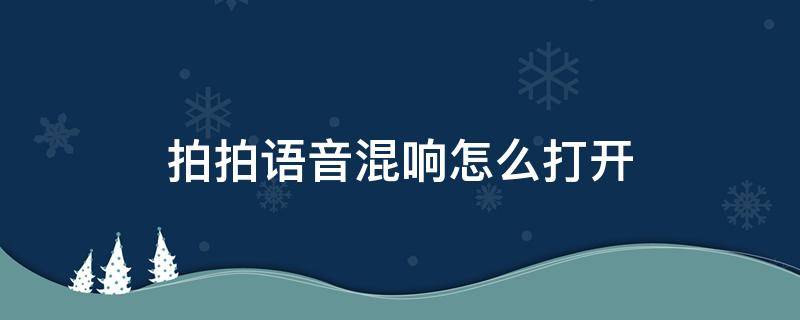 拍拍语音混响怎么打开 拍拍语音咋玩