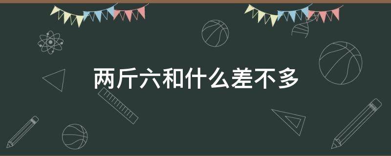 两斤六和什么差不多（6两是一斤吗）