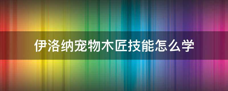 伊洛纳宠物木匠技能怎么学（伊洛纳木匠怎么练）