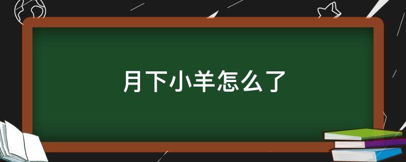 月下小羊怎么了（小羊的月亮）