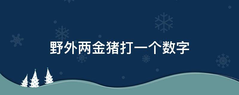 野外两金猪打一个数字 野外两金猪打一个数字生肖