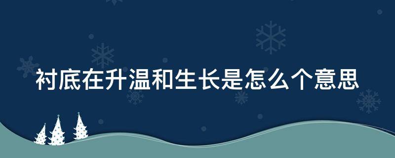 衬底在升温和生长是怎么个意思 衬底作用