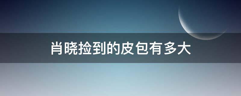 肖晓捡到的皮包有多大（肖晓捡到装有巨款的皮包是在什么课下）