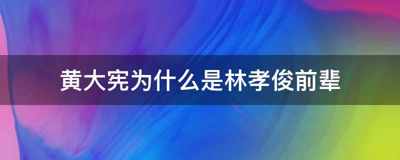 黄大宪为什么是林孝俊前辈 韩国林俊孝黄大宪