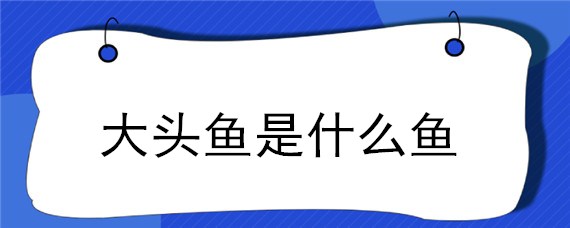 大头鱼是什么鱼 广东人说的大头鱼是什么鱼