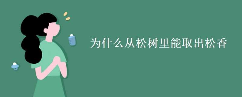 为什么从松树里能取出松香（为什么从松树里能提取出松香）