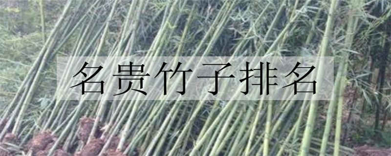 名贵竹子排名