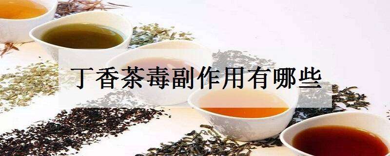 丁香茶毒副作用有哪些 丁香茶会中毒吗