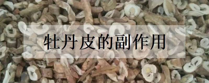 牡丹皮的副作用有哪些 牡丹皮有什么作用