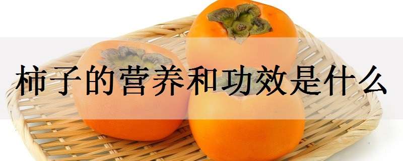 柿子的营养和功效是什么 柿子的营养和功效是什么呢