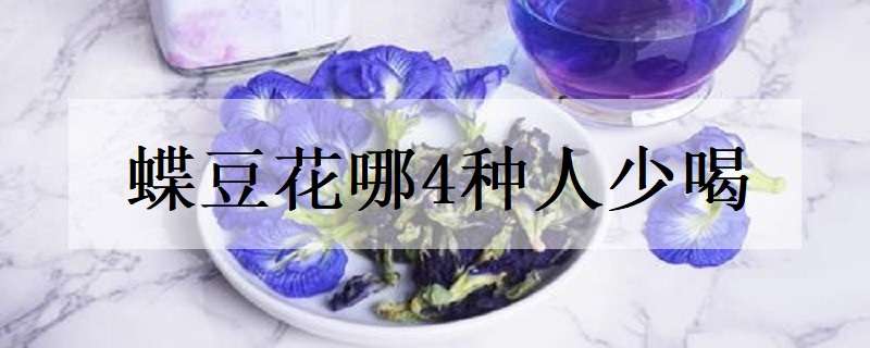 蝶豆花哪4种人少喝（蝶豆花适合什么人喝）