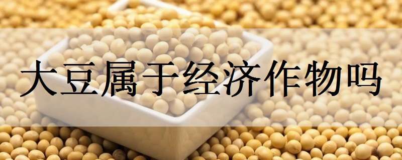 大豆属于经济作物吗 大豆属于农作物吗