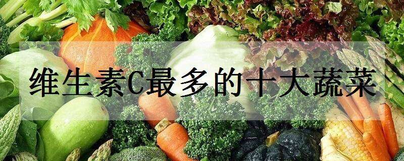 维生素C最多的十大蔬菜（维生素c最多的十大蔬菜是什么）