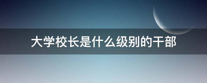 大学校长是什么级别的干部 一本大学校长是什么级别的干部