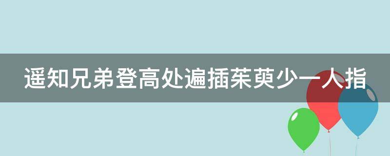 遥知兄弟登高处遍插茱萸少一人指 遥知兄弟登高处遍插茱萸少一人指的是