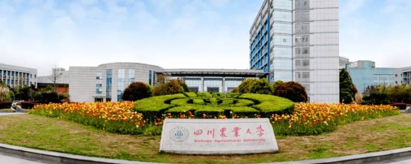 四川农业大学5612是啥 四川农业大学5612学校