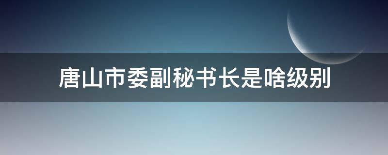 唐山市委副秘书长是啥级别