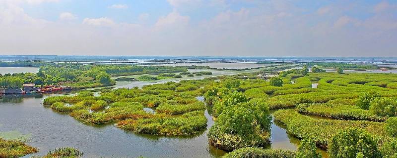 全国唯一没有山的市（全国唯一一个没有山的市）