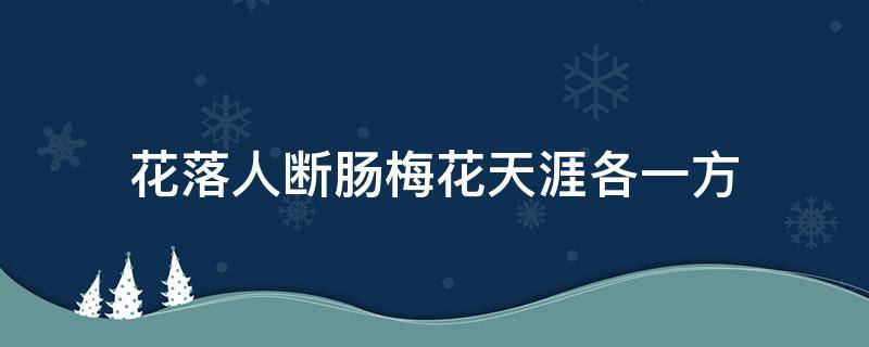 花落人断肠梅花天涯各一方（梅花一弄断人肠）