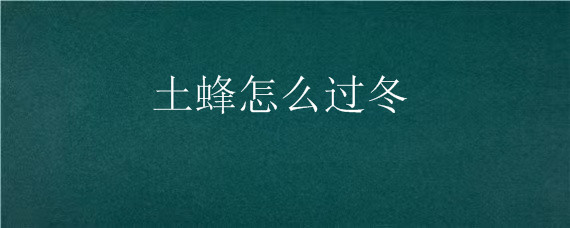 土蜂怎么过冬 土蜂过冬要必备什么