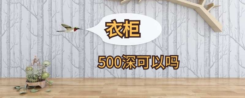 衣柜500深可以吗（衣柜500深够用吗）