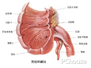 阑尾炎手术后的注意事项 阑尾炎手术后的注意事项及饮食