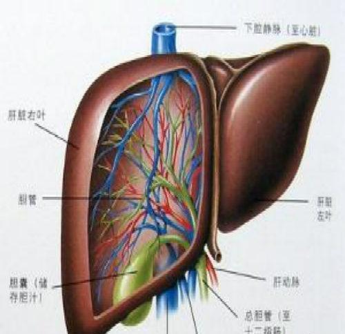 肝硬化传染吗（肝炎引起的肝硬化传染吗）