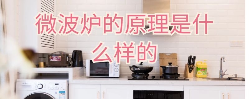 微波炉的原理是什么样的（微波炉的原理是什么样的视频）