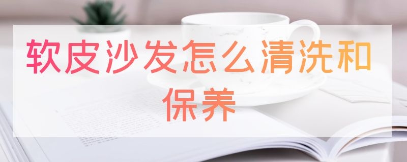 软皮沙发怎么清洗和保养