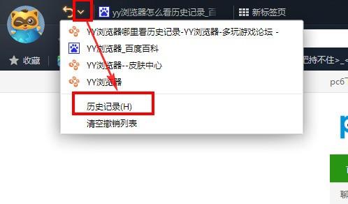 yy浏览器如何查看历史记录?（yy怎么看记录）