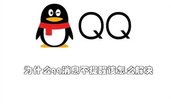 为什么qq消息不提醒该怎么解决（为什么qq消息不提示了）