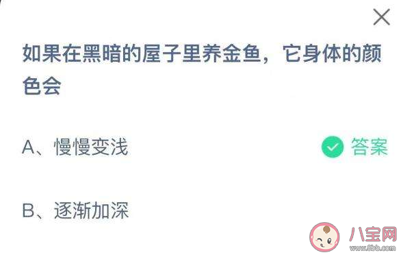 蚂蚁庄园今日答案：在黑暗的屋子里养金鱼它身体的颜色会？