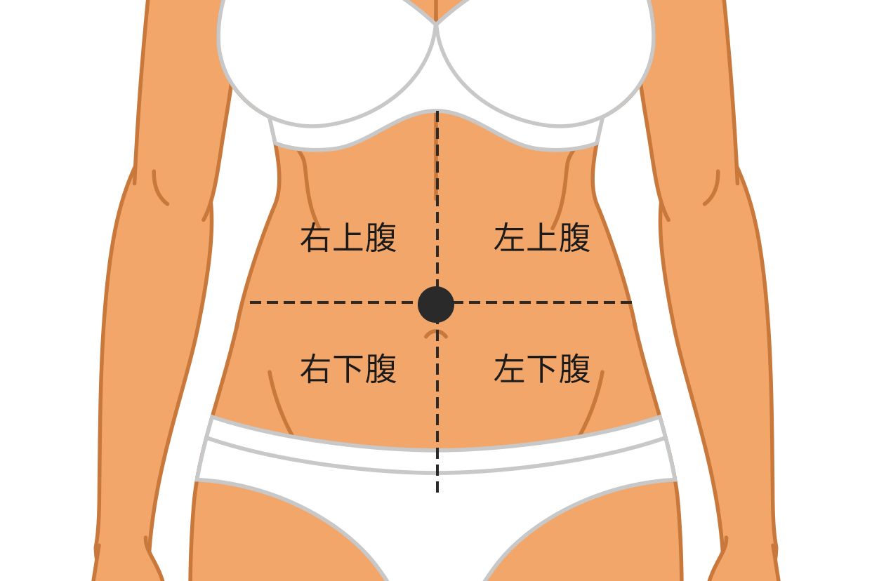 腹部分区四分法图片