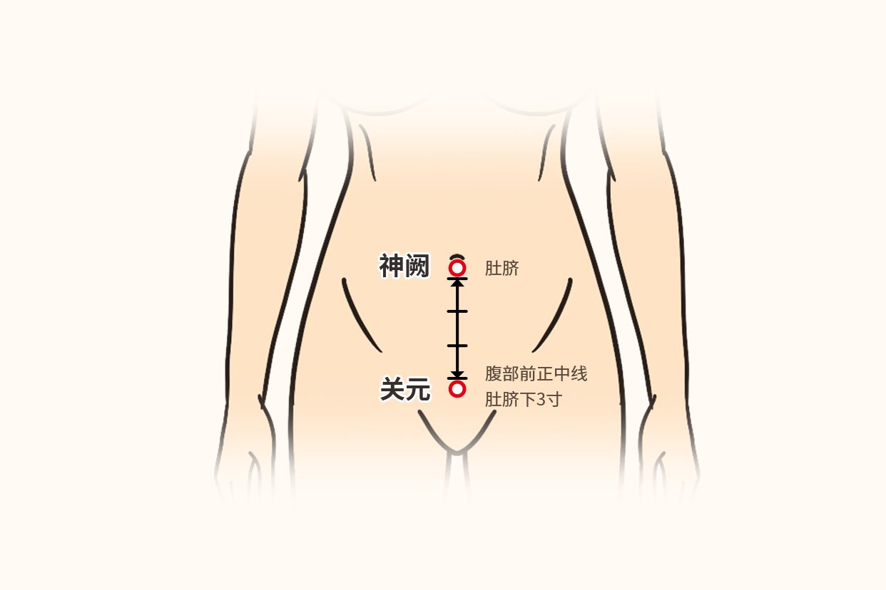 女人肾阳虚按摩什么部位图解（女性肾阳虚按摩哪里最有效）