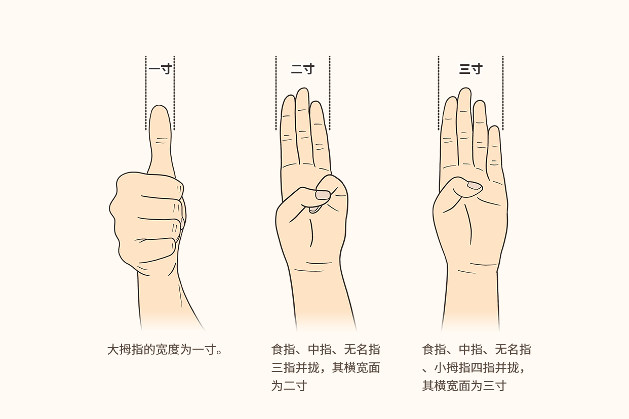 中医四寸是几指图解 中医的两寸是几指