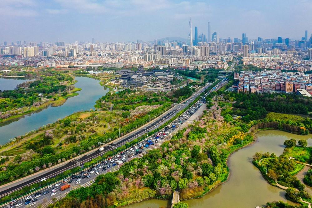 疯狂建大学的广东，开始“收割”了（广州疯狂建大学）