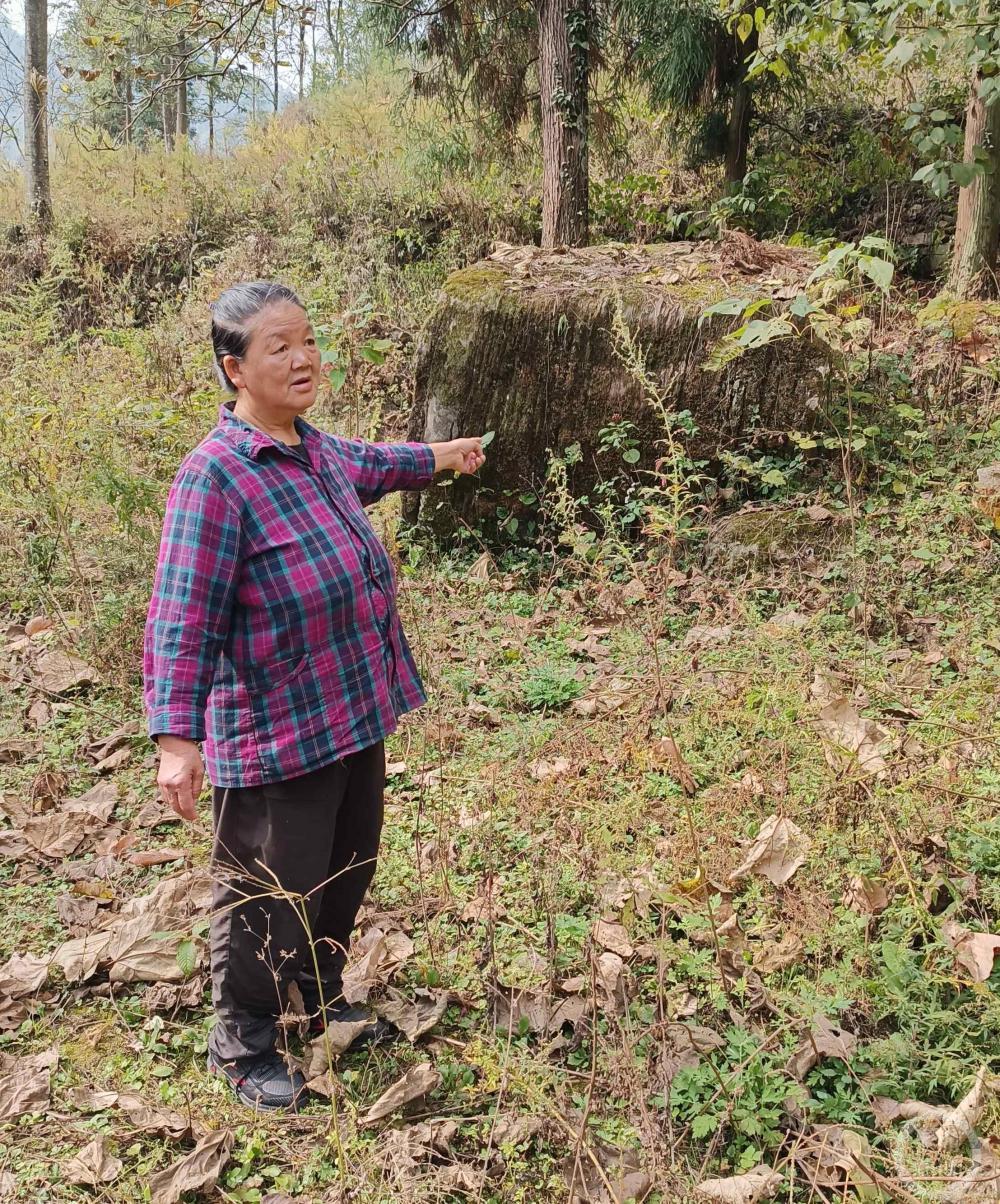 贵州一孕妇被拐卖到河北逾34年（贵州被拐卖的儿童）