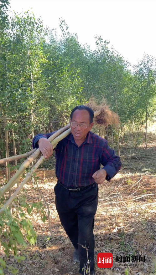 宁夏“跪地求水”林场主家属：水源遭煤矿破坏，20万棵苗木无法栽种灌溉