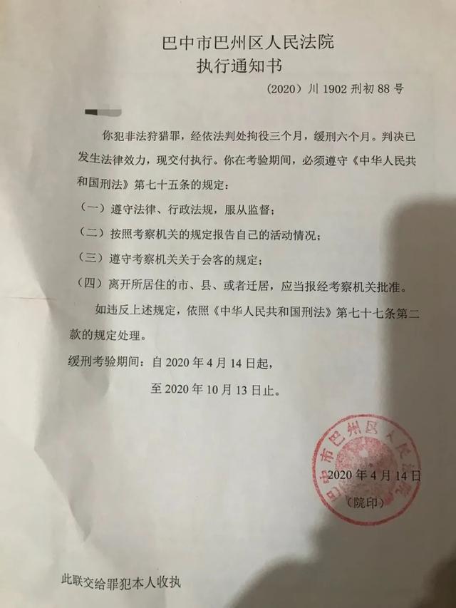 “大学生掏鸟案”当事人即将出狱，其父发声：可能会继续申诉  