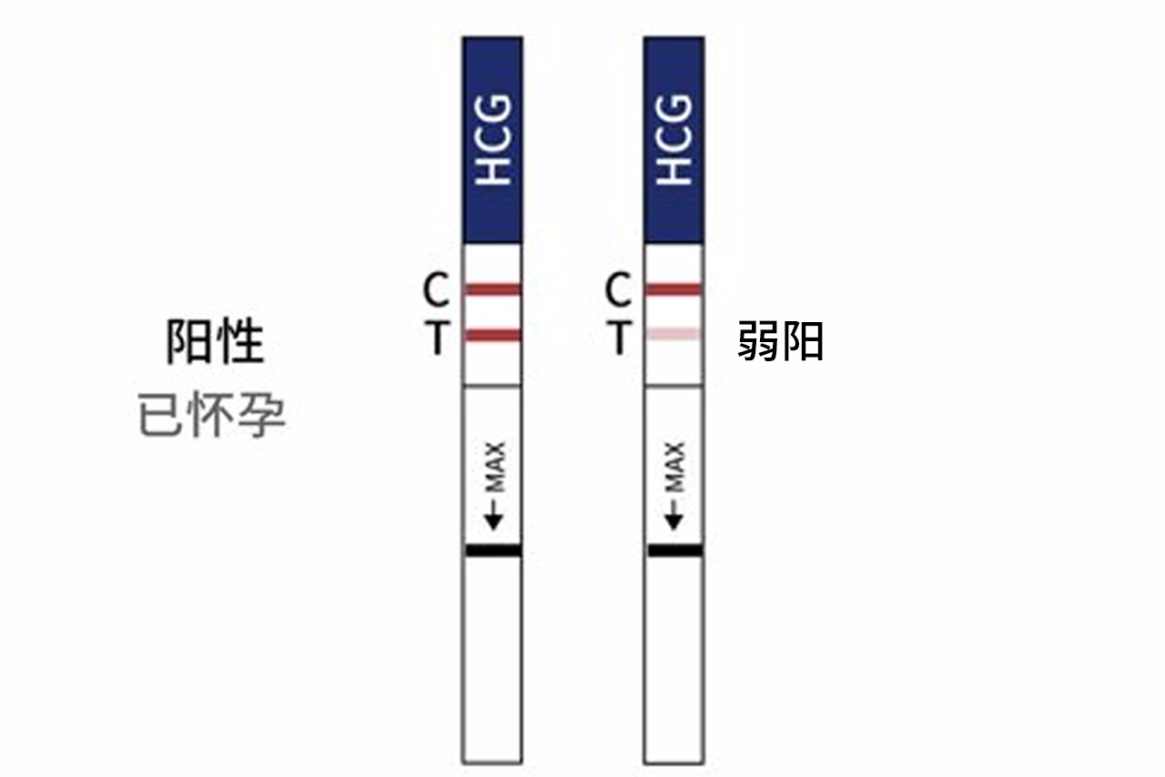 移植后试纸加深图 移植后试纸加深又变浅