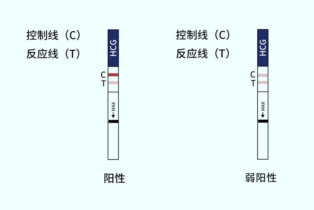 怀孕不太明显的测试条图片 怀孕不太明显的症状