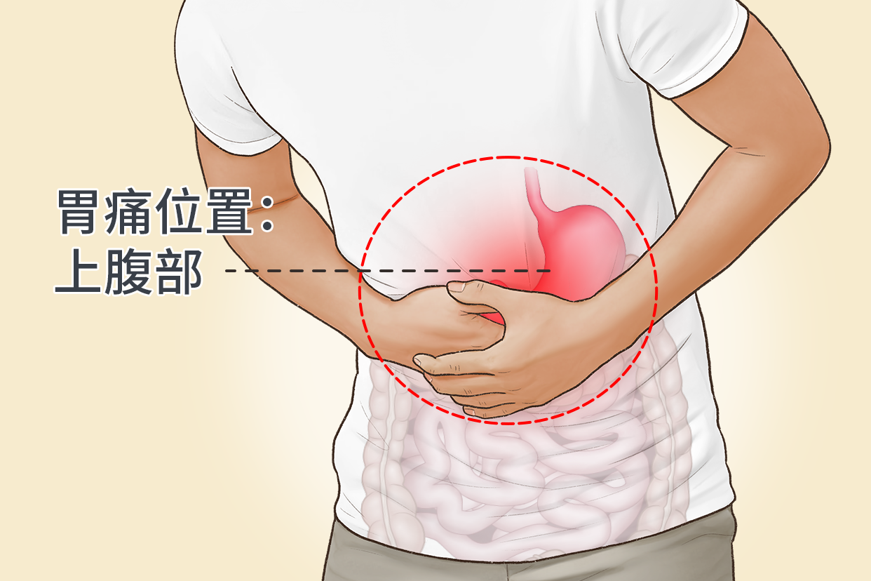 胃痛在肚子哪个位置图 胃痛的准确位置图