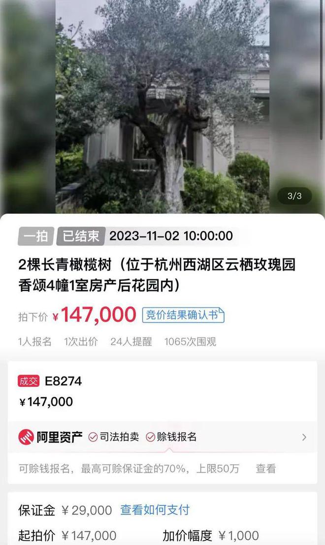 豪宅业主也被割韭菜？300万买来两棵树，如今14.7万卖出