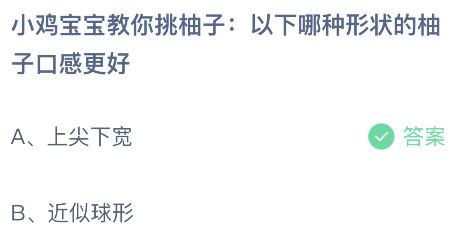 蚂蚁庄园今日答案最新：以下哪种形状的柚子口感更好？上尖下宽还是近似球形