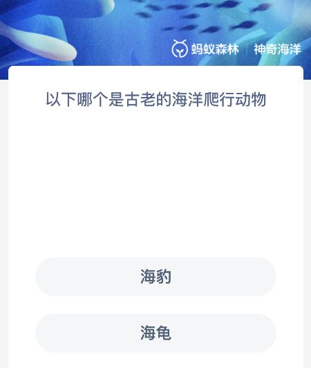 以下哪个是古老的海洋爬行动物 以下哪个是古老的海洋爬行动物海豹海龟