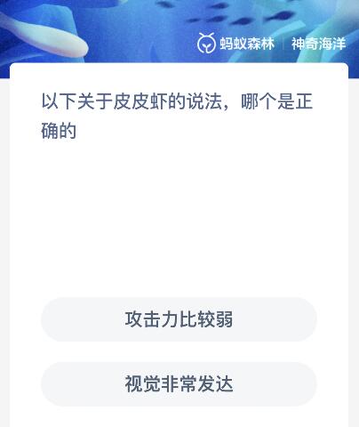 以下关于皮皮虾的说法哪个是正确的 关于皮皮虾的知识