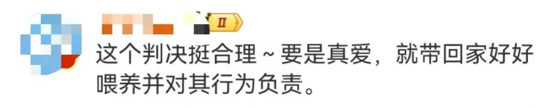 上海男子打球时被流浪猫绊倒致十级伤残，投喂者判赔24万…闵行法院：依法再审